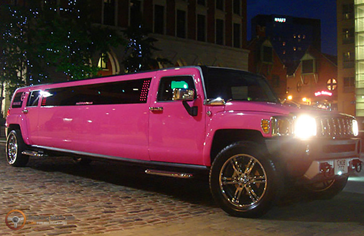 PinkHummer01 4